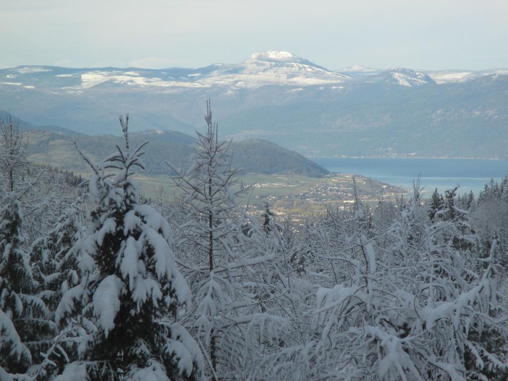 Silver Star Bed And Breakfast Vernon Bagian luar foto
