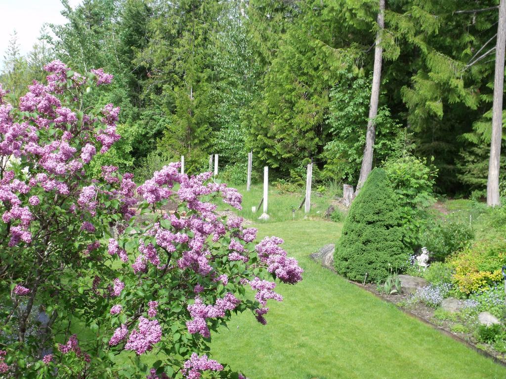 Silver Star Bed And Breakfast Vernon Ruang foto