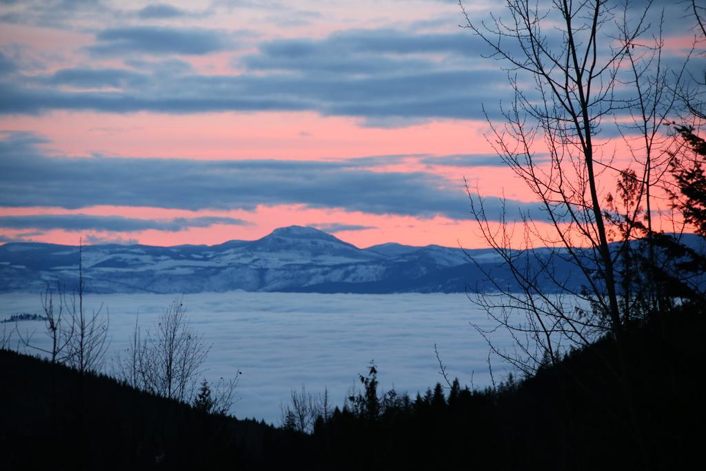 Silver Star Bed And Breakfast Vernon Bagian luar foto